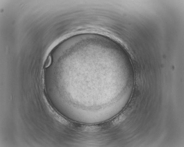 X0000060801522200511241857