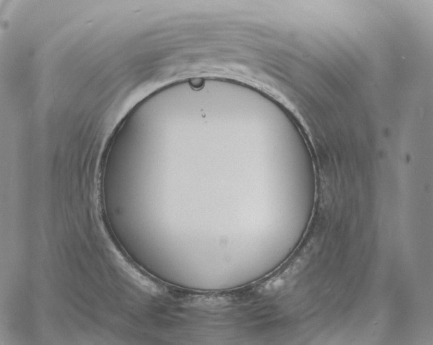 X0000060801525200511241857