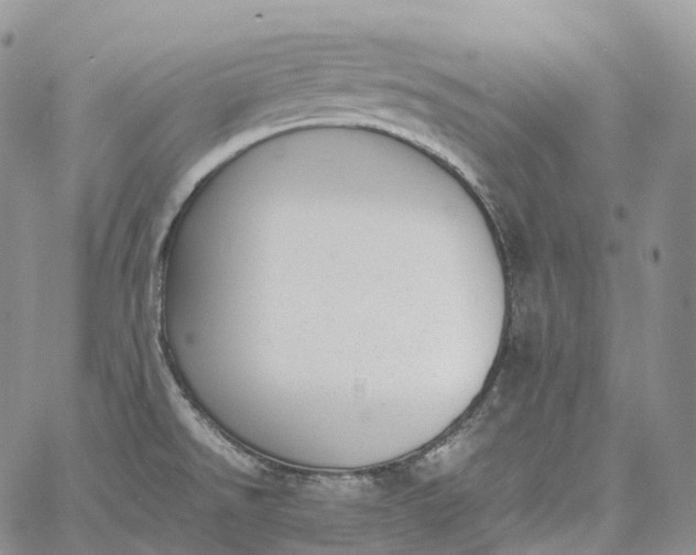 X0000060801526200511241857