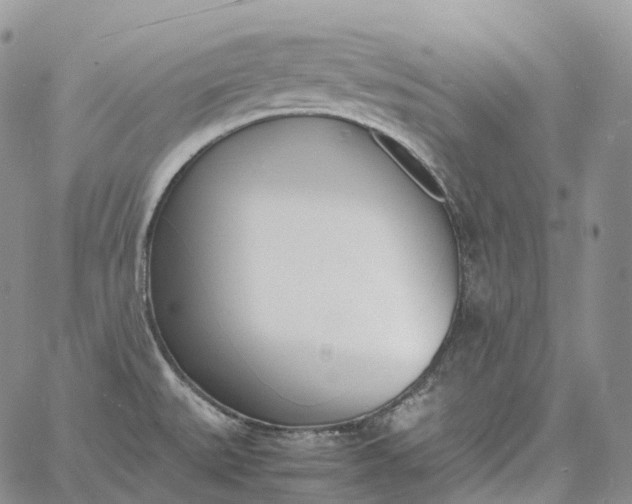 X0000060801527200511241857