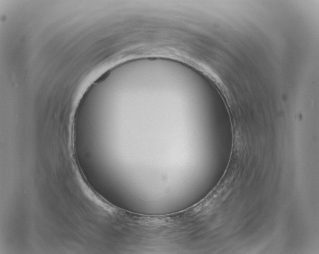 X0000060801528200511241857