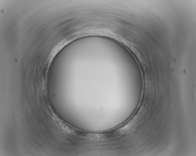 X0000060801529200511241857