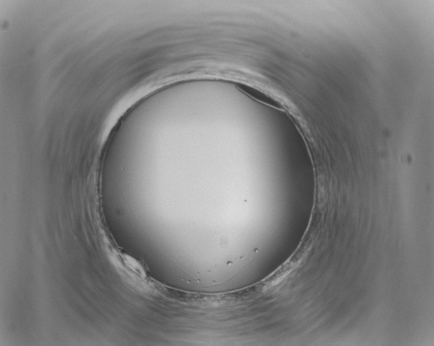 X0000060801530200511241857