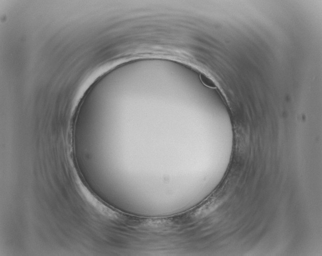 X0000060801531200511241857