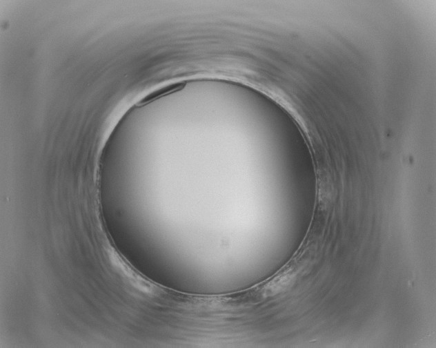 X0000060801532200511241857