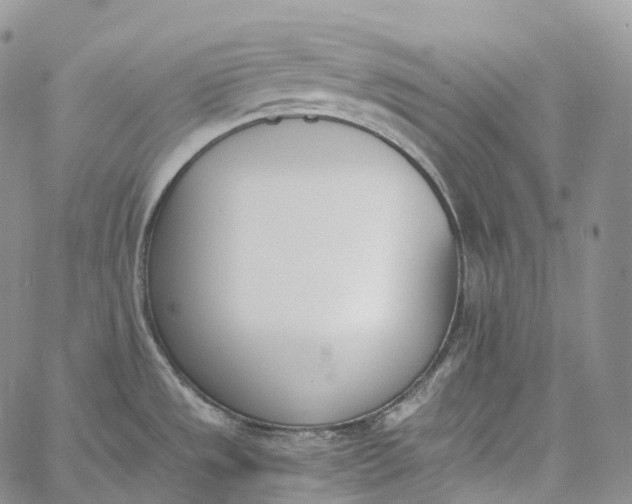 X0000060801533200511241857