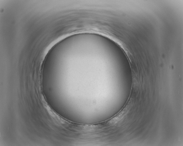 X0000060801534200511241857