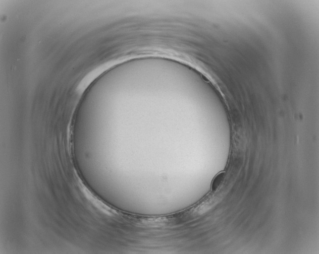 X0000060801535200511241857