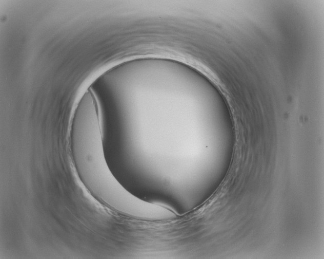 X0000060801536200511241857