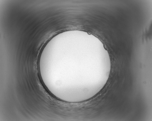 X0000060800002200512011745