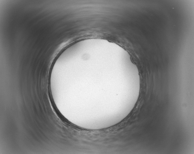 X0000060800003200512011745