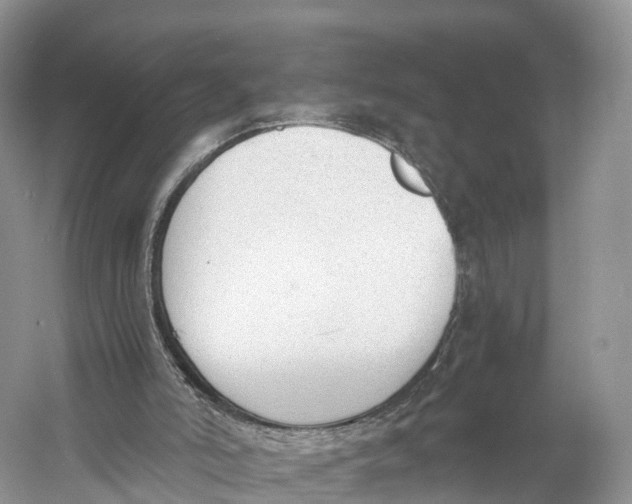 X0000060800006200512011745