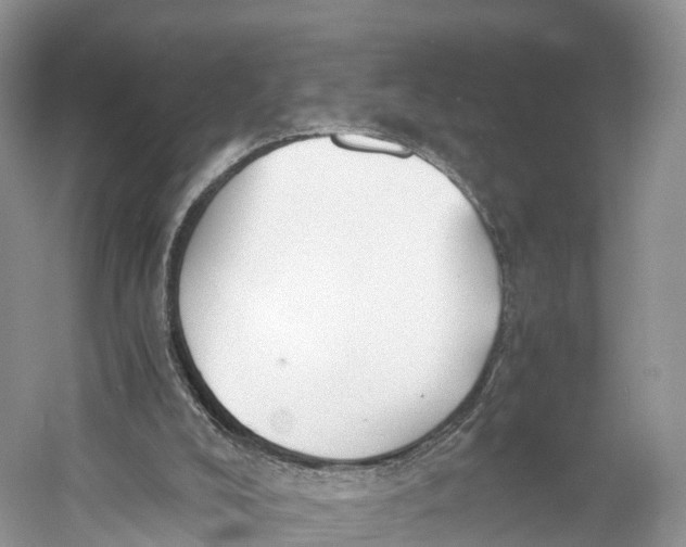 X0000060800008200512011745