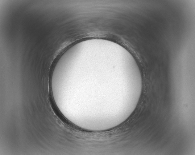 X0000060800011200512011745