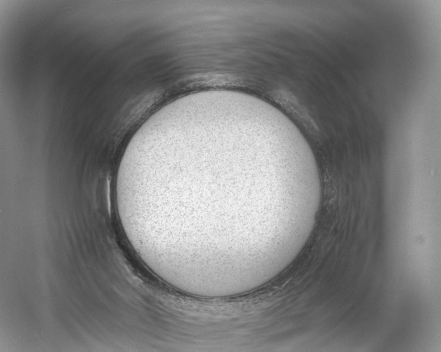 X0000060800014200512011745