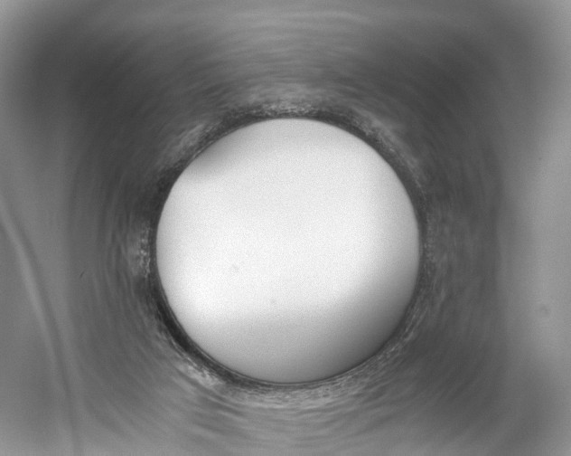 X0000060800017200512011745