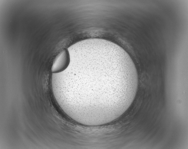 X0000060800018200512011745