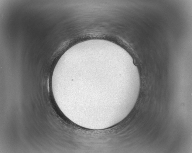 X0000060800019200512011745