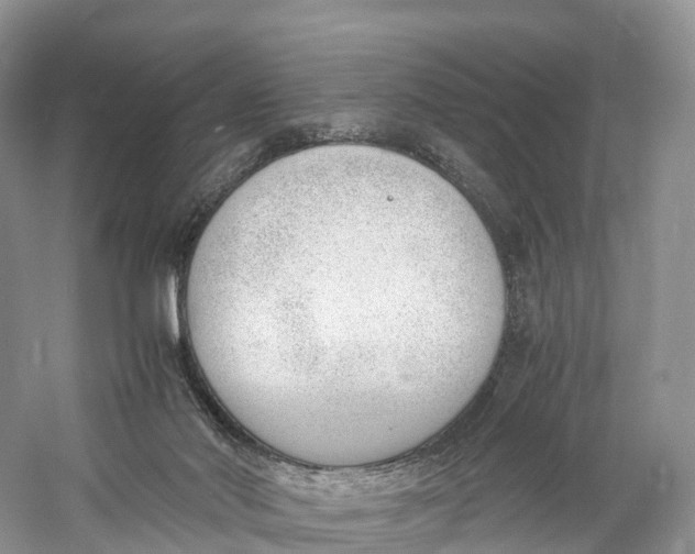 X0000060800022200512011745