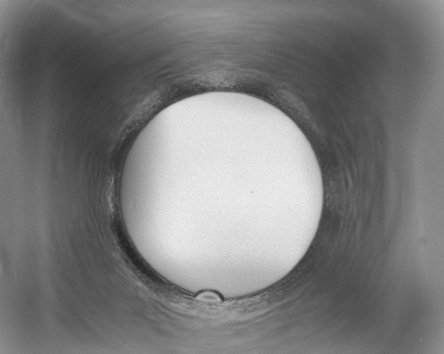 X0000060800023200512011745