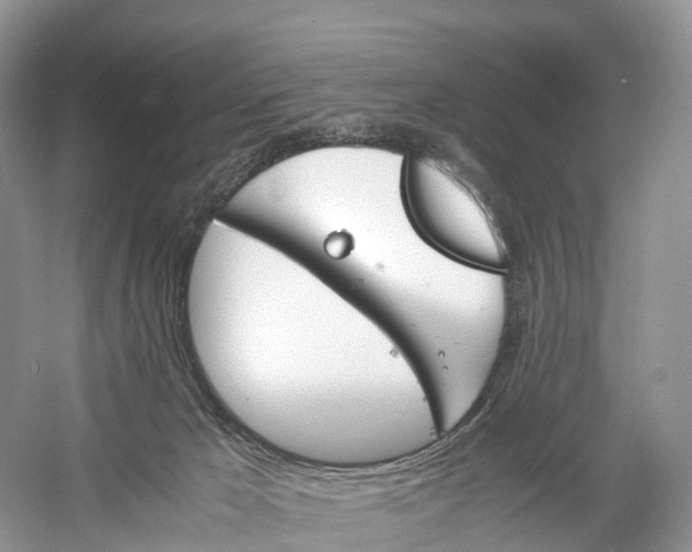 X0000060800029200512011745