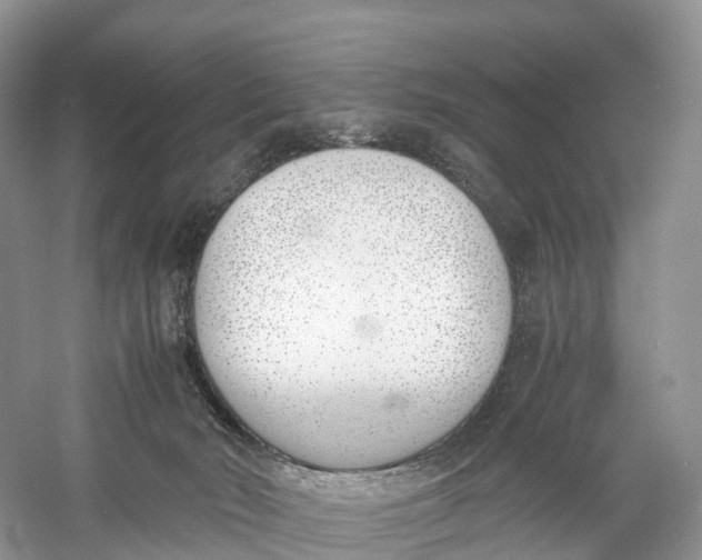 X0000060800030200512011745