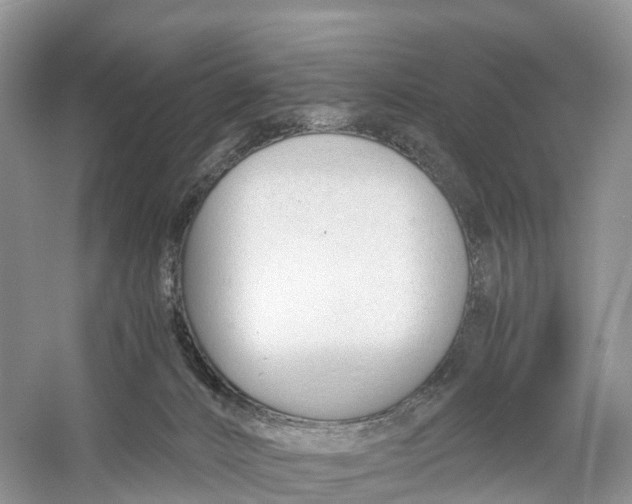 X0000060800032200512011745