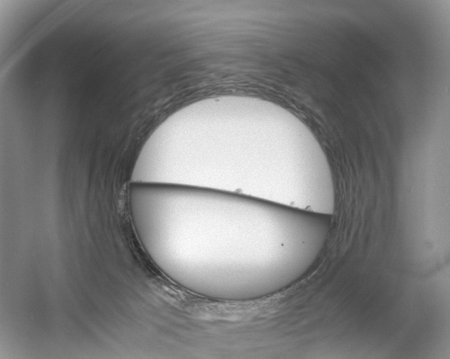 X0000060800033200512011745