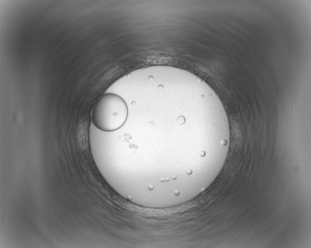 X0000060800034200512011745