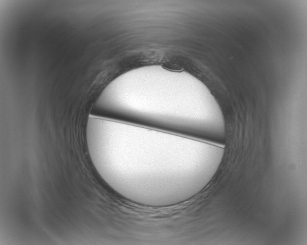 X0000060800035200512011745