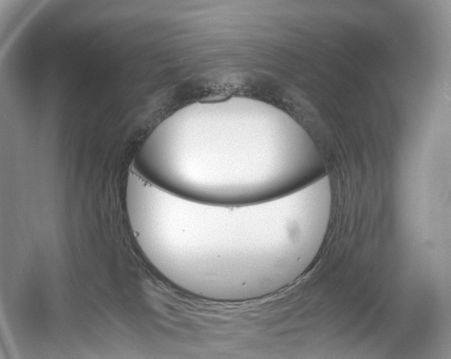 X0000060800037200512011745