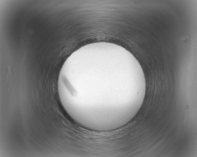 X0000060800039200512011745