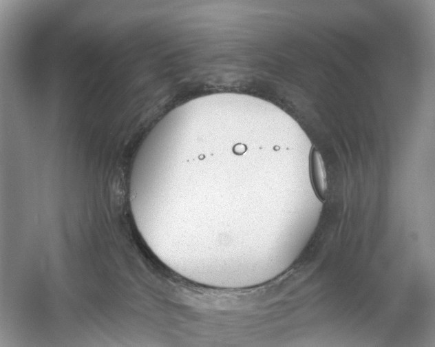 X0000060800040200512011745