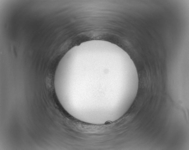 X0000060800044200512011745