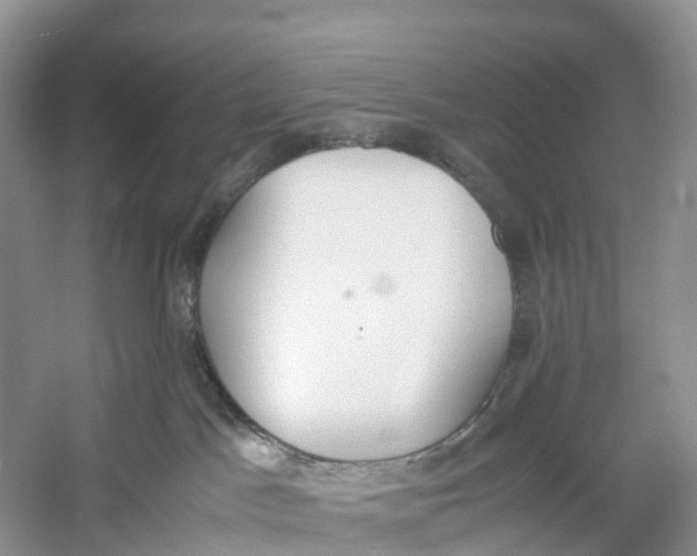 X0000060800045200512011745