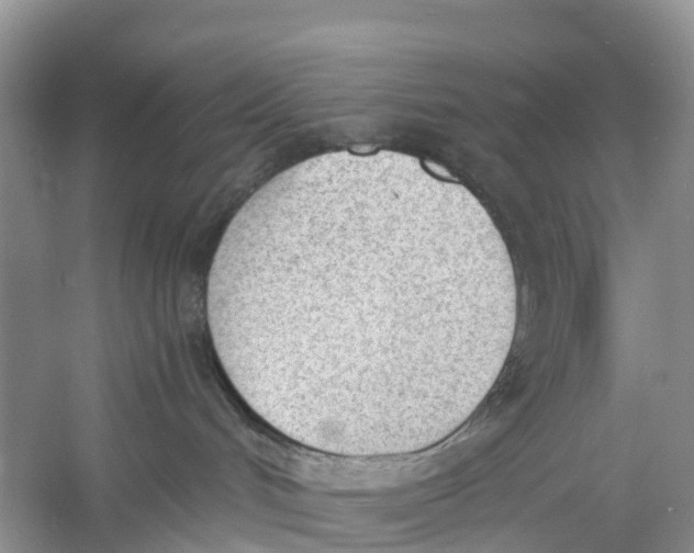 X0000060800048200512011745