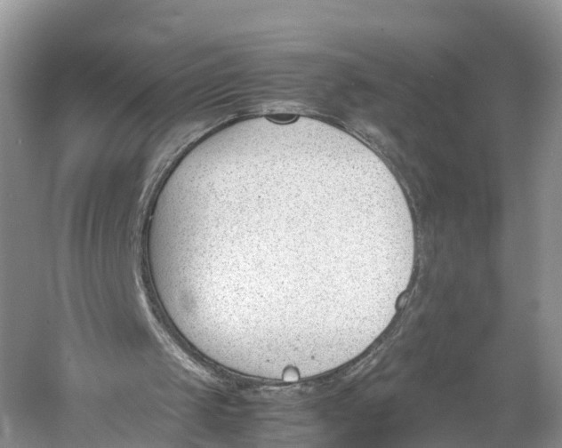 X0000060800049200512011744