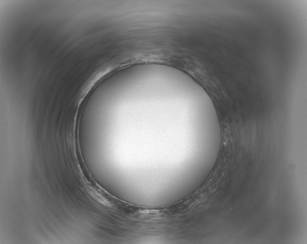 X0000060800052200512011744