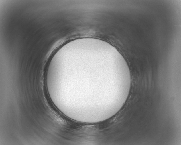 X0000060800054200512011744