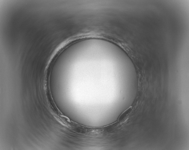 X0000060800056200512011744