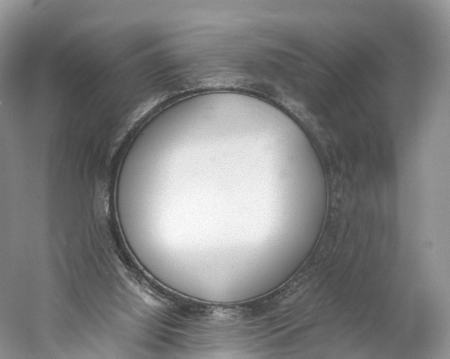 X0000060800060200512011744