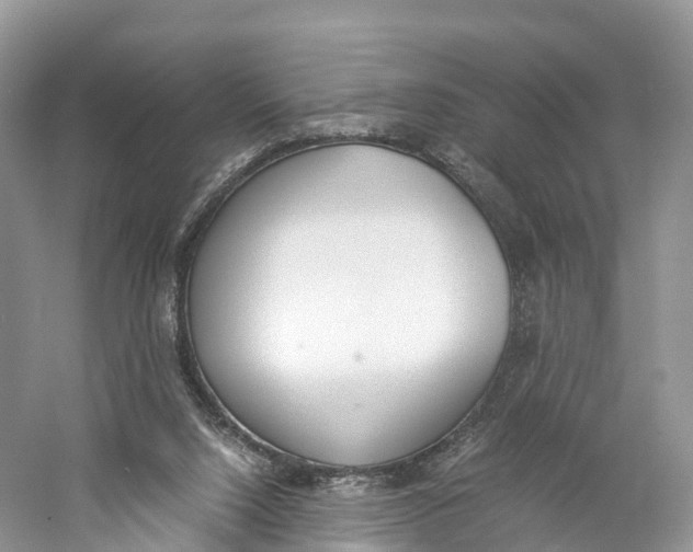 X0000060800064200512011744