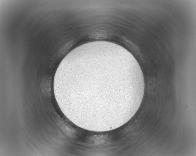 X0000060800065200512011744