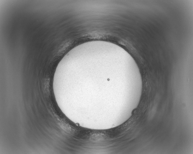 X0000060800066200512011744