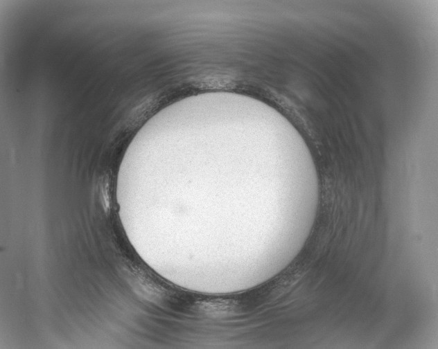 X0000060800069200512011744