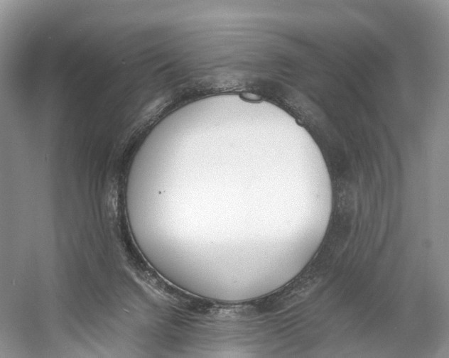 X0000060800072200512011744