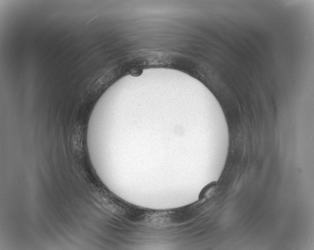 X0000060800078200512011744