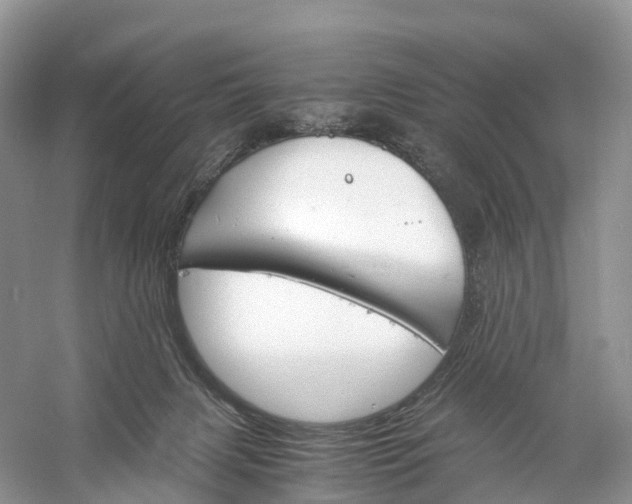 X0000060800079200512011744