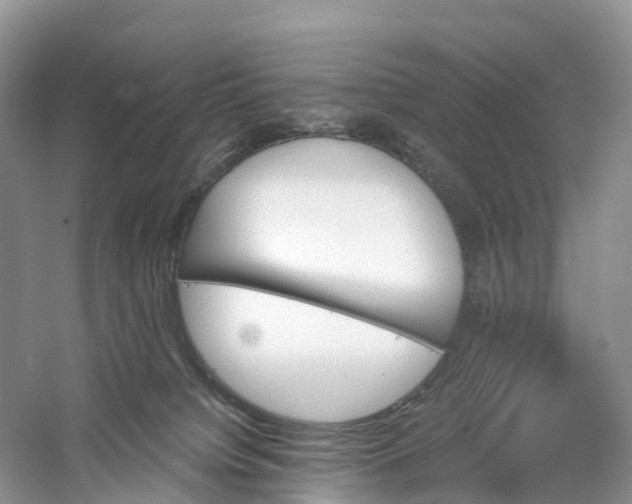 X0000060800084200512011744