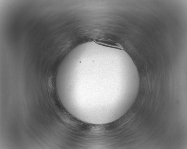 X0000060800088200512011744